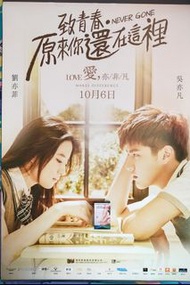 吳亦凡、劉亦菲、金世佳 (  致青春·原來你還在這裡  Never Gone ) 電影 原裝戲院海報 original poster