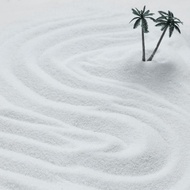 0.5kg Dead Landscape White Fine Sand Quartz Sand Particle Decorative Sand Extinguish Smoke Quartz Sa