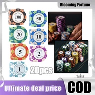 20pcs Poker Dealer Chips Set Texas Poker Chips Set Exquisite Texas Card Set Poker Dealer Playing Pok