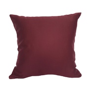 Plum Cushion - Sofa Cushion - 40 x 40