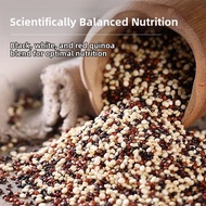 GUOSHENGJING | Bolivian Tri-color Quinoa