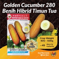 Benih Timun Tua 280 Golden Cucumber Seeds [35 seeds] 老黄瓜種子 Soon Huat Seeds