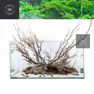 (SH) Biotop Aquarium Light 3W / 5W / 7W/10W - On/Off 3 Color Modes - KAOKUI KK F01 F02 F03 F04 F05