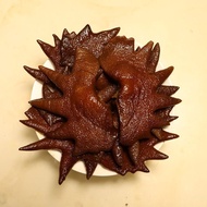 Soy Sauce Chicken Crest Spicy Chicken Crest Spicy Chicken Crest Instant Fresh Chicken Crest Cooked F