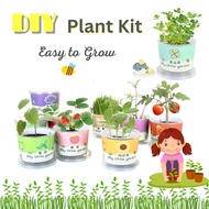 SG Local DIY Mini Plant Kit for Kids My Little Garden Series Easy to Grow Science Project
