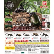〘全套/散賣〙BANDAI GASHAPON 環保扭蛋 獨角仙編 昆蟲系列 可動 甲蟲 第十彈 扭蛋 玩具 現貨 (全5種) いきもの大図鑑 くわがた 10 ✨(不同款式價錢在中間描述位置)✨