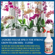 ANDGRO Foliar Spray for Strong Growth - Orchid (1000ml) [long lasting healthy growth plant flower fertiliser fertilizer]