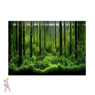 YGBG Fish Tank Poster, Forest PVC Aquarium Background, Beautiful 61*30cm Underwater Theme Decoration