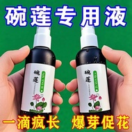 3.47 Readystock Readystock Bowl Lotus Special Nutrient Liquid Water Lily Fertilizer Hydroponic Seeds