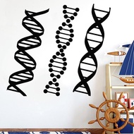 DNA Genealogy Wall Sticker Biology Chemistry Decal School Science Class Stickers Personalized Home D