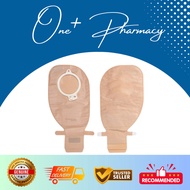 Coloplast Alterna Free Trans 50mm 2pc 13975 15'S (1BOX)