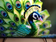 移民55吋4k畫質智能電視，超薄高階，多功能Smart TV，跟遙控及座枱架。