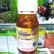 Insectisida Cyperban 100ml Insektisida CYPERBAN 100 ml Bahan Aktif Klorpirifos 530 g/l + Sipermetrin
