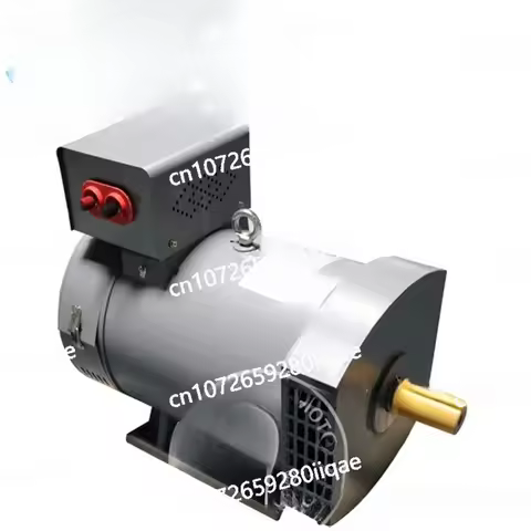 STSTC AC Brush Generator 3KW-100KW Electric Ball Frequency Conversion High Power Generator Head for 