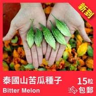 新到🇹🇭泰國山苦瓜種子 15粒 包平郵