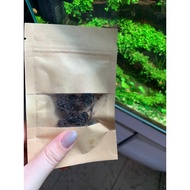 ALDER CONES Dried Pine CONES (Erlenzaphen) for aquarium shrimp