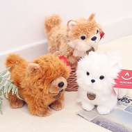 Boneka Pomeranian, boneka haiwan lembut, hadiah untuk perempuan, bantal boneka.