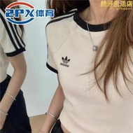 經典女三條紋修身顯瘦羅紋運動短袖t恤ic5462 ic5463