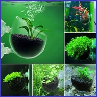 Aquarium Plant Cup Water Plant Pot Cup Stand Decorative Tool with Permeation Holes for Saltwater and Freshwater myashosg