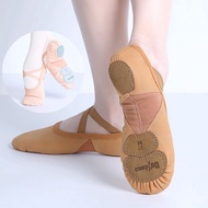 Adult Ballet Shoes Dance Shoes (Adult Pink Brown Size 33-42) Ballet Shoes Dance Shoes Dance Shoes So