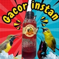Doping pleci sogon konin instant water energy multivitamin drink doping pleci bird fast gacor open b