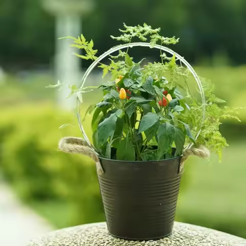 Contemporary Round Plastic Hanging Planters with Lightweight Stand for Indoor&Outdoor Sturdy Support