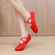 Women Black Dance Shoes, Ballet Shoes,Y2K Jazz Shoes,Pink, Red & Brown Thickened Comfortable And Bre