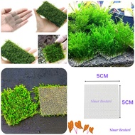 Aquascape Moss Mesh Net Stainless Steel 304 Thick Wire Aquarium Akuarium Keluli Tahan Karat Aqua Sca