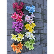 Rubber cup branch with 3 large, even flowers