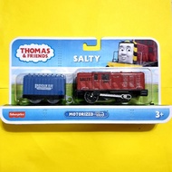 Thomas and friends TrackMaster Motorised Salty Engine (BMK88)