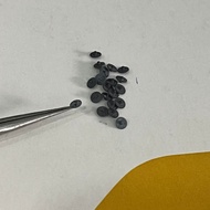 Time Transmission Gold Movement 1M02, GM00 Replaces Watches