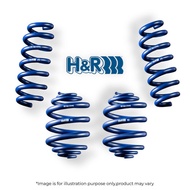 TESLA MODEL 3 2WD - H&R Spring - (28659-2)