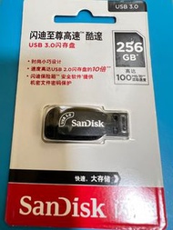 SanDisk 256GB USB