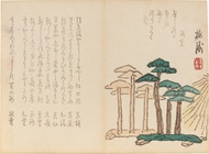 Various artists including Tamate Baishu (active circa 1850-1860), Matsukawa Hanzan (1818-1882), Kawa