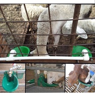 Automatic Sheep Bowl Water Valve Stable and Automatic Drinker Cow Water Supply System Bekas Air minu