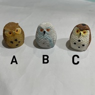 BEAGLE 4 Super Cute Owls Microscopic Succulent Doll Ornaments Garden Potted Gardening Terrarium Mini
