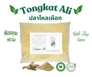 ผงปลาไหลเผือก 1 กิโลกรัม Tongkat Ali Powder 1000 g