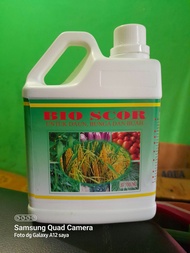pupuk cair untuk daunbunga dan buah BIO SCORE mempercepat pertumbuhan pada tanaman padi 1 liter.