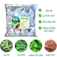 [ Viet Nam Tea ]Guava Leaf Tea Bag 20 Packs