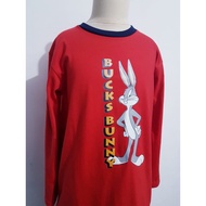 Hello Pajamas - Boys' T-Shirt Sleepwear Set Bucks Bunny / Rabbit PP