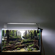 [HOÀN TIỀN 10%]ĐÈN CHIHIROS A2 MAX 451