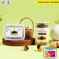 SBG BLACK GARLIC SINGLE - BLACK GARLIC