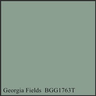 Nippon Paint Easywash &amp; Weatherbond ( Interior &amp; Exterior ) (Indour &amp; Outdoor) Colour Code : Georgia Fields BGG1763T