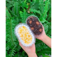 Combo 50 hộp nhựa oval kèm nắp đựng bánh mousse
