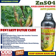 PUPUK ANTI BUSUK CABE AMPUH ZnSO4 GAZA 500ML Pupuk Pencegah Busuk Akar Busuk Buah Busuk Batang Busuk Daun untuk Tanaman Cabe Cabai Rawit Cabe Hijau Merah Terbaik yang Manjur dan Murah Obat Semprot Cabe Busuk Paling Tokcer Ampuh