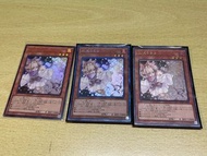 日版遊戲王 灰流麗 QCAC-JP050, RC02-JP009