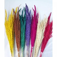 bunga jagung / kembang jagung / dried flower / bunga kering / rustic /