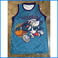 ◆ ❤ ◰ BALL #2 Charlotte Hornets Jersey | Full Sublimation Jersey | LaMelo Ball NBA Jersey