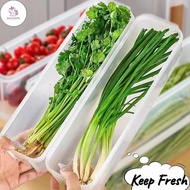 UN Kitchen Rectangle Transparent Storage Box Refrigerator Cilantro Shallots Noodle Food Storage Cont