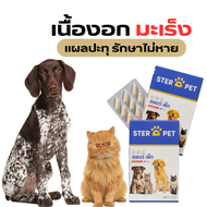 Ster Pet สเตอร์เพ็ท เนื้องอก มะเร็ง เห็นผลไวสำหรับหมาแมว